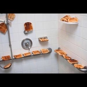 Meet your Posher, Grace